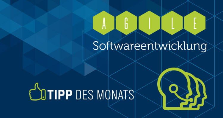 Agile Softwareentwicklung | Produktentwicklung | DIVIS-Tipp